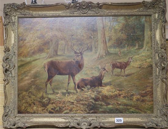 George James Rankin (1864-1937), Red Deer Family, oil on canvas, 38cm x 56cm